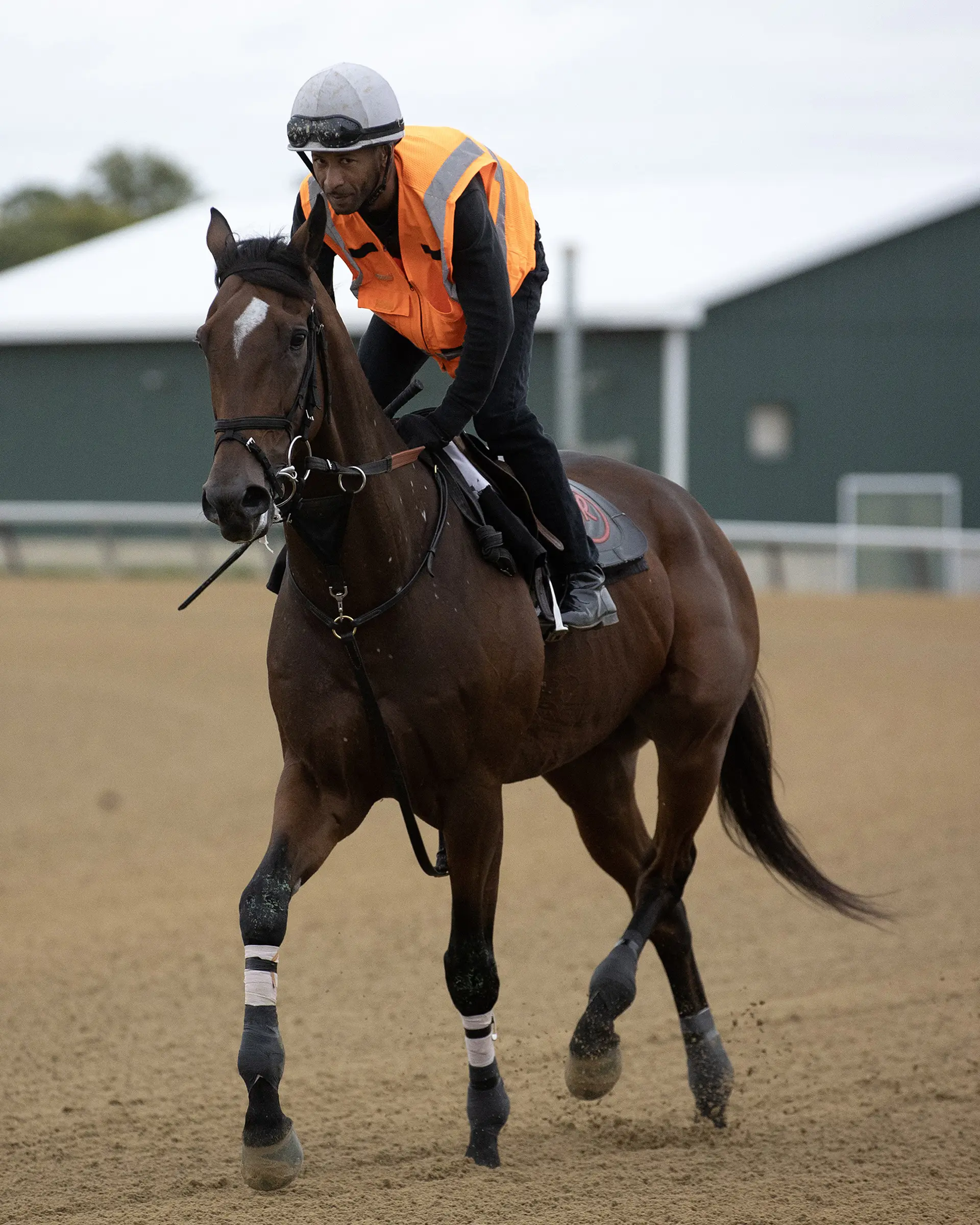 Breeders' Cup: Phileas Fogg taken out of Classic with foot issue