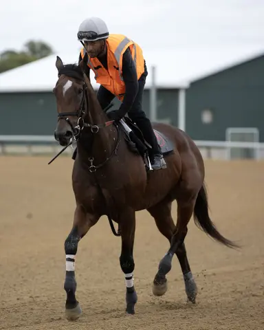 Breeders' Cup: Phileas Fogg taken out of Classic with foot issue