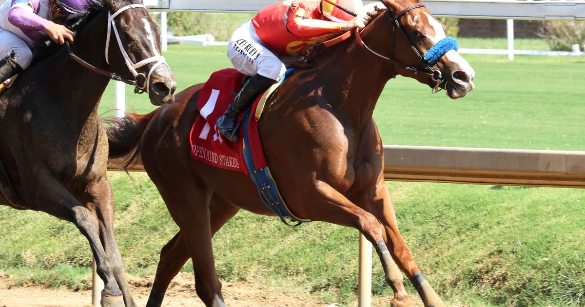 Usha takes Open Mind Stakes; Built wins Louisville Thoroughbred Society
