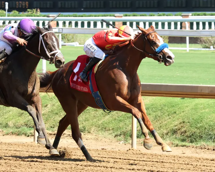 USHA - The Open Mind - 09-12-26 - R06 - Churchill Downs - Finish 02 - Cady Coulardot