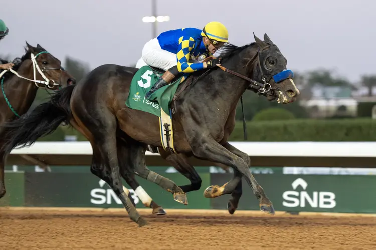 RS43587_Imagination2_RiyadhDirtSprint_21426_King Abdulaziz Racecourse_Riyadh Saudi Arabia_ Mathea Kelley-JCSA.jpg