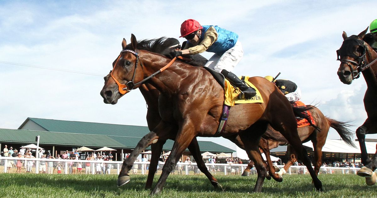 Haatem turns back the clock in Mint Millions triumph