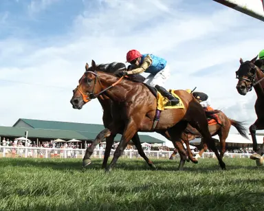 Haatem turns back the clock in Mint Millions triumph