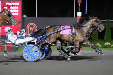 Woodbine Mohawk Park:  Rookie pacers meet in OSS Gold Series