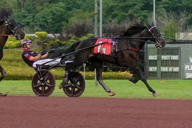 Pocono:  Victorianas Secret vicious from first-over in Delmonica Hanover