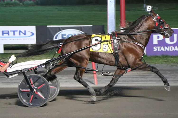 Ervin Hanover 7-4-26