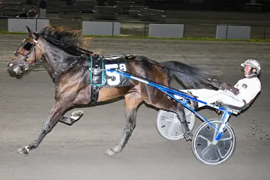 Vernon:  Big Apple eliminations in the books