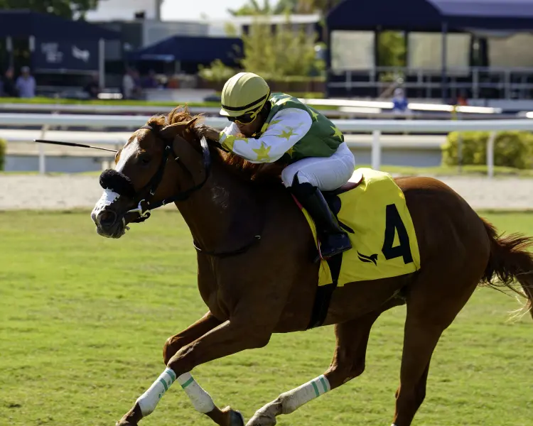 Liberty Rings The Royal Palm Juvenile Fillies credit G Sonny Hughes.jpg