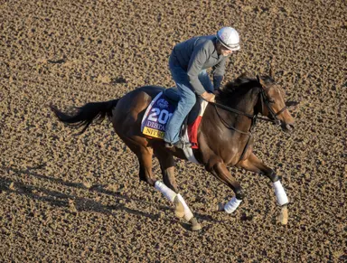 Breeders' Cup Distaff: Nitrogen looks to do Medaglia d’Oro proud