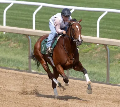 Grand Job can put bad beats behind her in Honorable Miss