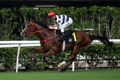 Danny Shum unearths Four-Year-Old Classic Series hopefuls with Happy Valley double