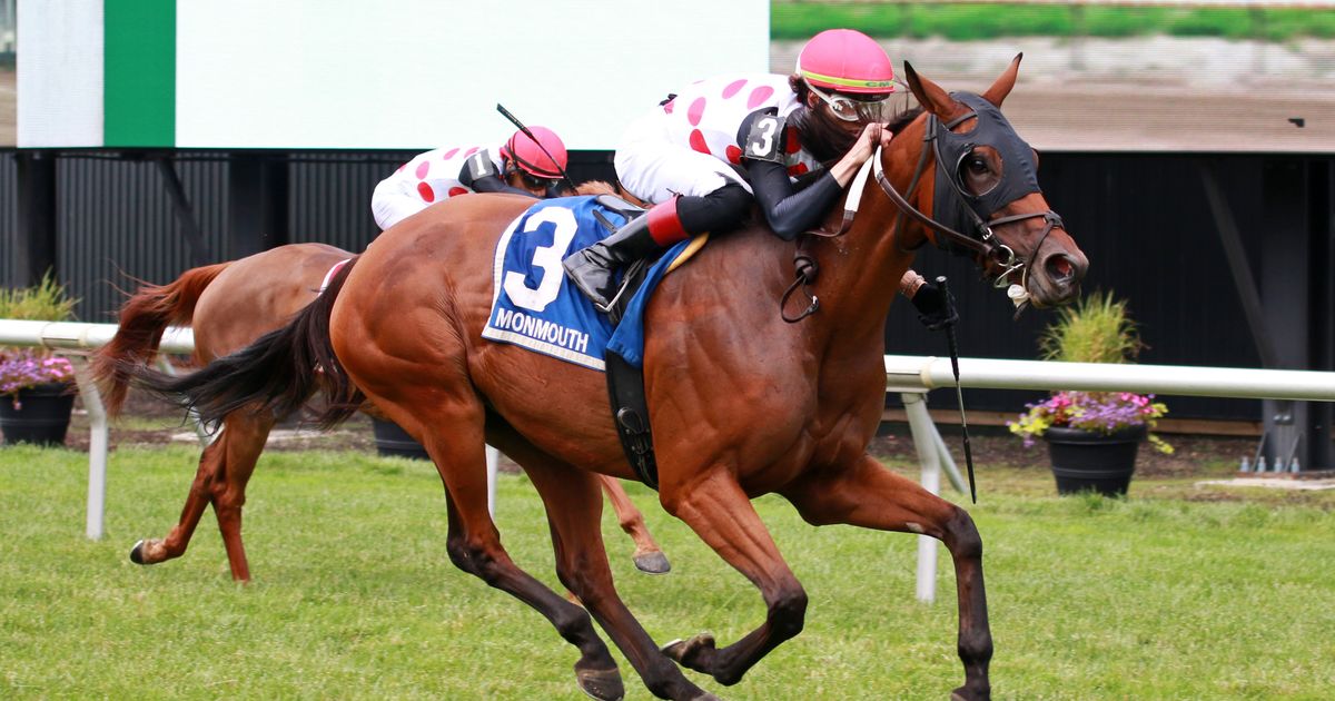 Souper Williwaw's perfect trip pays off in Violet Stakes