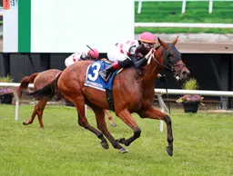 Souper Williwaw's perfect trip pays off in Violet Stakes