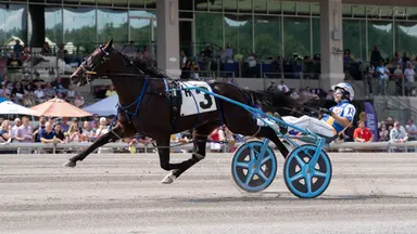 The Meadows:  Pennsylvania Sire Stakes, Arden Downs raced on Adios undercard