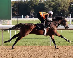 Breeders' Cup Classic: Phileas Fogg connections still hope to enter him despite tender foot