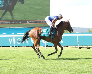 Breeders' Cup Turf: Ombudsman's defection changes complexion
