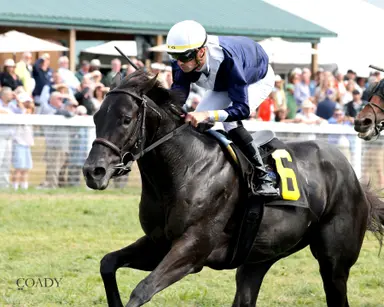 Stablemate could spoil Plensa's quest for second Kentucky Downs stakes win