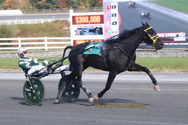 Plainridge:  Sophomores complete their Massachusetts Breeders Stakes prelims