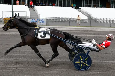 Vernon:  Chapter Seven colts impress for Dunn, Melander in New York Sire Stakes