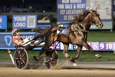 Harness: Hambletonian future book