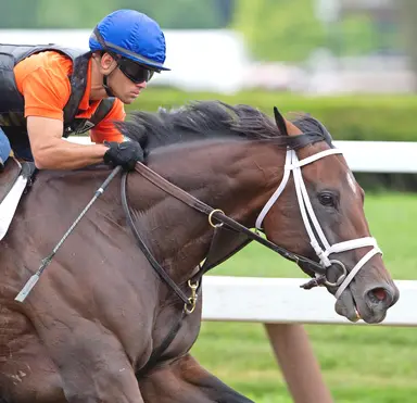Stay Thirsty, Grazen steady presence on California sire lists