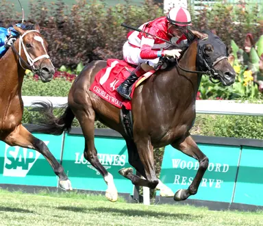 Weekend GamePlan: Picks for Arlington Million, Jim Dandy, Clement Hirsch