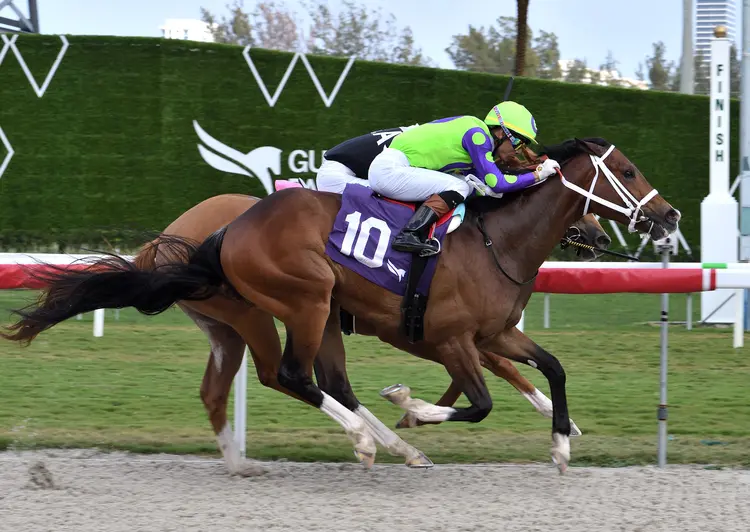 Rhum Saint Esprit wins at GP Feb 17 2024