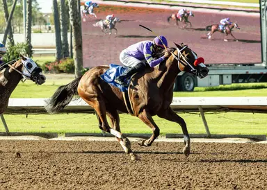 Man O Rose notches third consecutive E.B. Johnston win