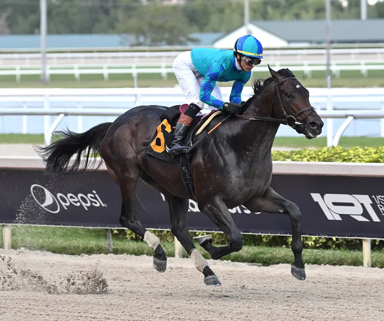 Conquest Warrior wins at GP March 1 2024