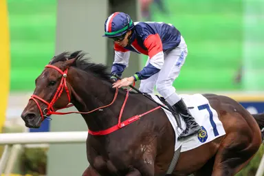 Numbers keeps climbing as Hong Kong Classic Cup takes spotlight