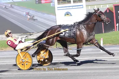 Plainridge:  Sting Me buzzes in Massachusetts Breeders Stakes