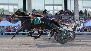 Harness: Male sophomore pacers providing true on-track excitement