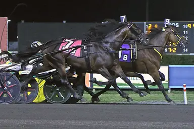 Harness: Master class driving performance by Gingras in Graduate Trot