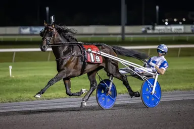 Meadowlands: Toscano, Zeron look for the best from It Could Be Worse