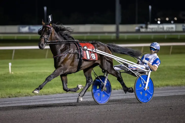 It Could Be Worse_8-1-26_Hambletonian Elim_Walter Wlodarczyk_WWRB3443