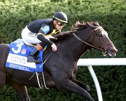 Rhetorical's speed carries him in Coolmore Turf Mile, earns BC Mile berth