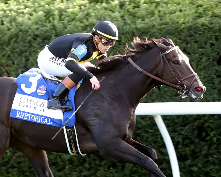 RHETORICAL - The Coolmore Turf Mile G1 - 41st Running - 10-03-26 - R10 - Keeneland Race Course - Finish 04 - Renee Torbit