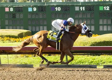 Shea Brennan, after dominating Bertrando Stakes, possible for San Diego Handicap