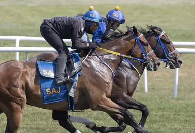Belmont features $39K pick six carryover for Wednesday card