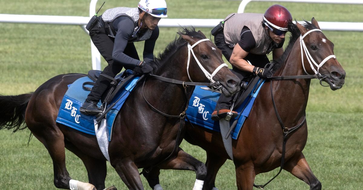 Maiden likely to be favored in Skidmore