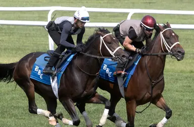 Maiden likely to be favored in Skidmore