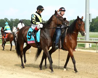 Motion debating path to Breeders' Cup for Gimme a Nother, Roja