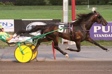 Meadowlands:  Sophomore trotters duel in W.N. Reynolds Memorials