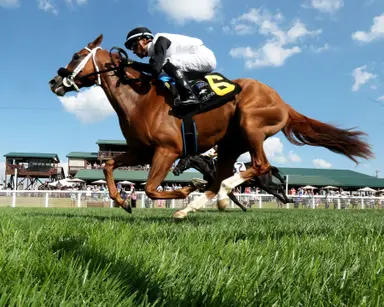 Mid American, via the Midway, wins Kentucky Downs Juvenile Sprint