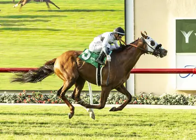 King of Gosford adapts, takes Wickerr on front end