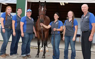 Harness:  Three horses fetch $200,000 at 2026 Ohio Selected Jug Yearling Sale 