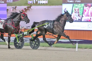 Harrah's Hoosier Park:  Callie Rocks, Mystical JK score in Indiana Sire Stakes