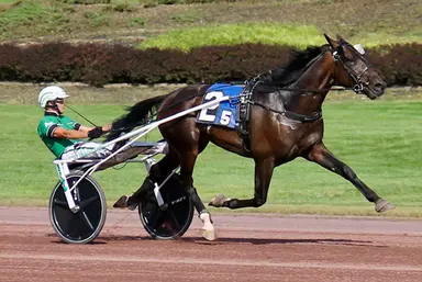 Pocono:  Nordic Catcher S ties world record in Sebastian K Free-For-All Trot