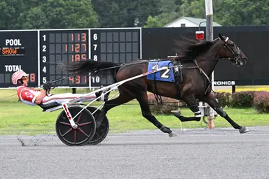 Saratoga Harness:  Who Dares Wins, Sharp Seven wire New York Sire Stakes fields