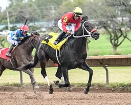 Lopez lands first local win aboard D I Wire in Aspirant